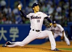 ヤクルト杉浦投手ホームで初登板2敗目、初勝利ならず | 十勝毎日新聞