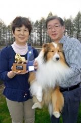 全日本コリーシェルティ特別展覧会優勝 更別 | 十勝毎日新聞電子版