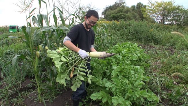 ディープなカレー気分（7）「週刊少年サンデー連載『ひとりぼっち農園