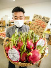 異彩放つスーパーフード 工藤公園のドラゴンフルーツ～大樹【先読み