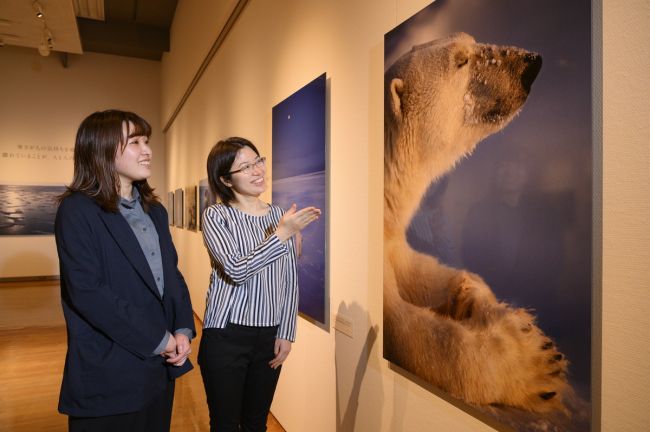 写真展 星野道夫 悠久の時を旅する」の見どころに迫る！ | Chaiでじ